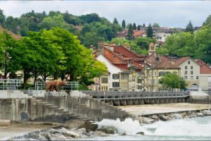Bear Park, Bern, Switzerland - Natural Habitat for Brown Bears