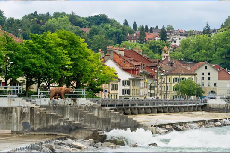 Bear Park, Bern, Switzerland - Natural Habitat for Brown Bears