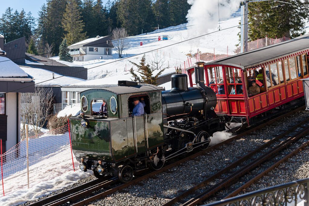 Mount Rigi Cogwheel - Scenic Cogwheel Train Journey to the 'Queen of the Mountains