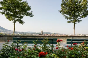 Rosen Garden, Zurich - Serene Botanical Haven with Vibrant Floral Displays