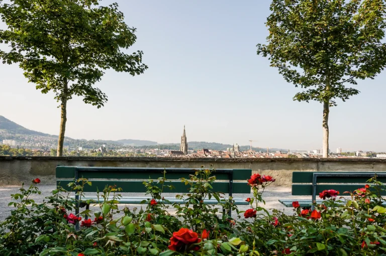 Rosen Garden, Zurich - Serene Botanical Haven with Vibrant Floral Displays