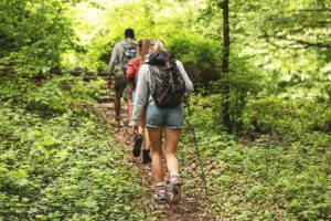 Scenic Uetliberg Hiking in Switzerland - Explore the Beautiful Trails and Panoramic Views of Zurich