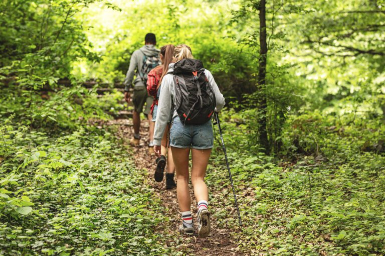 Scenic Uetliberg Hiking in Switzerland - Explore the Beautiful Trails and Panoramic Views of Zurich