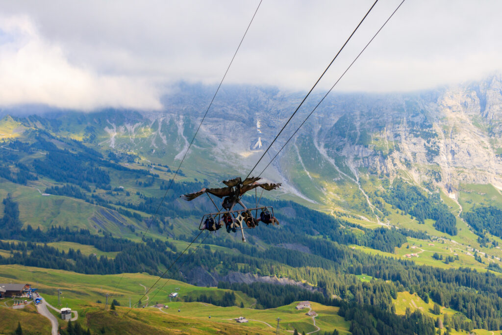 First Eagle Glider