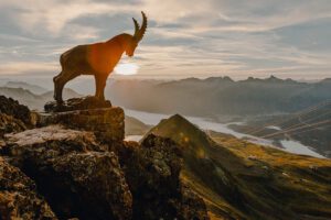 Scenic view of Graubünden's majestic Swiss Alps and lush green valleys