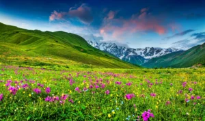 Höhbalmen Alpine Meadows: A tranquil escape in the Swiss Alps, surrounded by lush meadows and panoramic mountain views