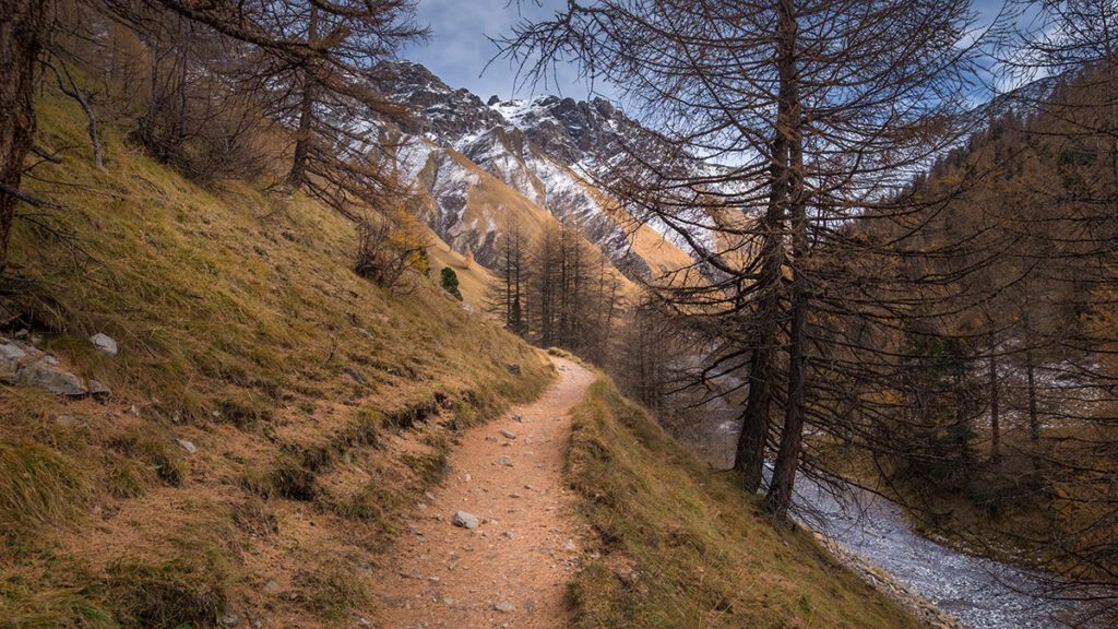 Val Trupchun Hiking Trail: An immersive journey through the serene Val Trupchun, featuring pristine landscapes and a glimpse into the heart of Swiss nature.