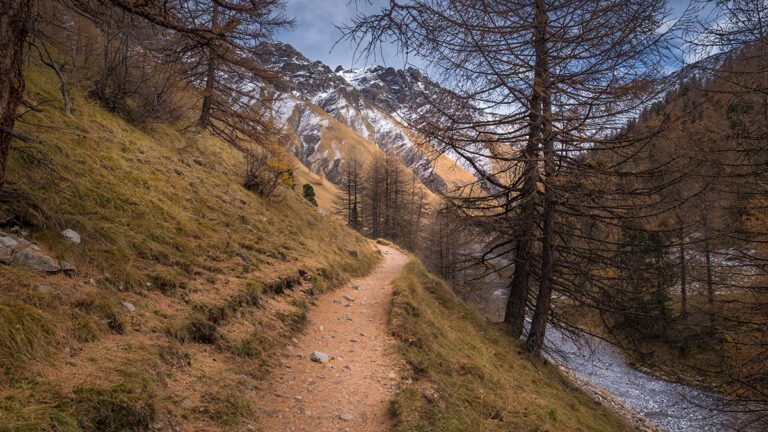 Val Trupchun Hiking Trail: An immersive journey through the serene Val Trupchun, featuring pristine landscapes and a glimpse into the heart of Swiss nature.